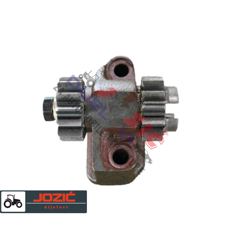 Daisy on the Ohoopee